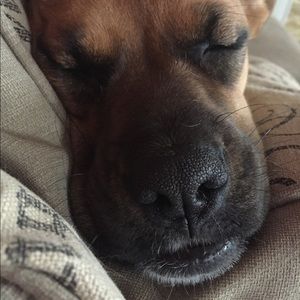 Meet your Posher, Alicia